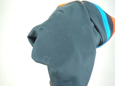 dzik dres: Adidas, Spodnie dresowe damskie, rozmiar XS — 6