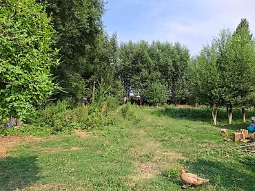 Продажа участков: 40 соток, Для сельского хозяйства, Красная книга, Договор купли-продажи — 4