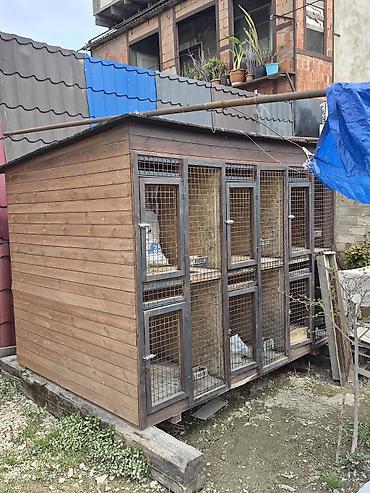 goyercin hini: Taxta quşxana/klet sistemi - Material: tam taxta karkas, ön hissəsi — 1
