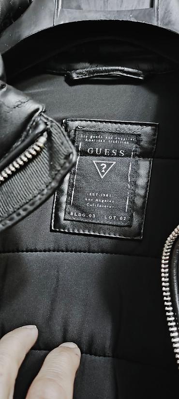 Kurtkalar: Kurtka, Bolonka, Qış, Guess, S — 8