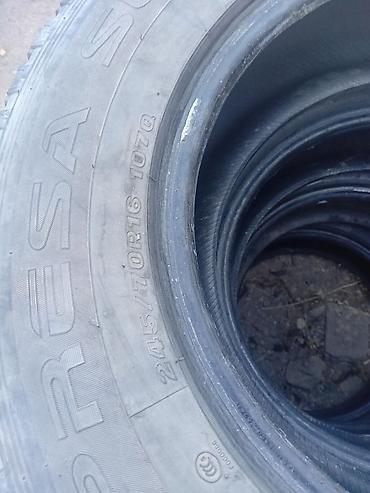 рекс морда: Комплект автомобильных шин Riesa 245/70 R16 107Q - Размер: 245/70 R16 — 1