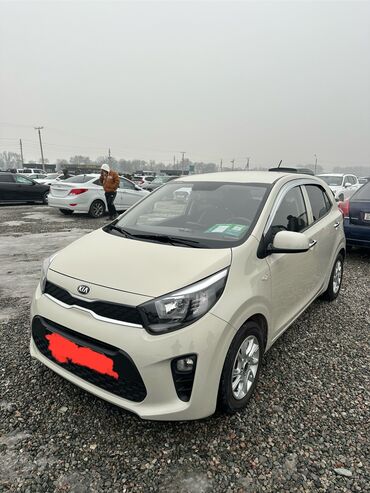 Kia: Kia Morning: 2019 г., 1 л, Автомат, Бензин, Кроссовер