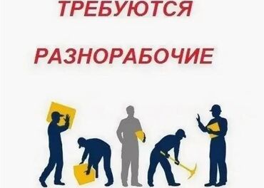 фронтальный погрузчик работа: Требуется Разнорабочий, Оплата Дважды в месяц, 1-2 года опыта