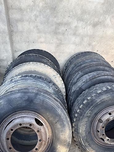 teker satsi: Məhsul: Yük avtomobili təkərləri və diskləri - Marka: Bridgestone — 3