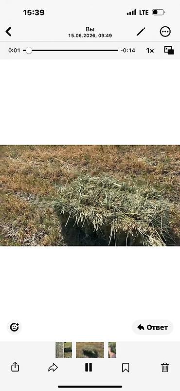 Корма для с/х животных: Сено в тюках - Тип: луговое сено, прессованные прямоугольные тюки. - — 6