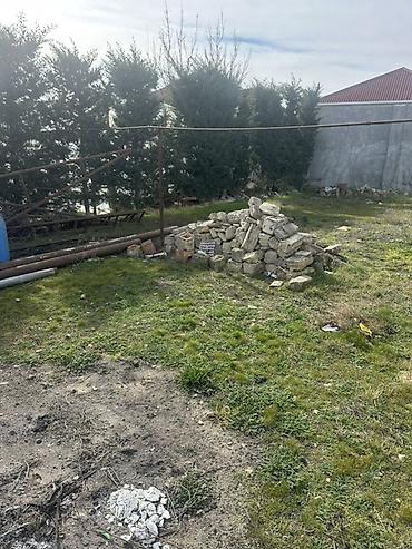 torpaq gence: Kənd təsərrüfatı — 4