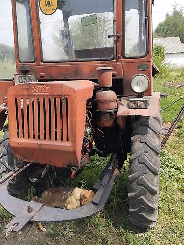 Другие тракторы: Трактор т16 (СССР) всё в хорошем состоянии только кодового стекла нету — 7