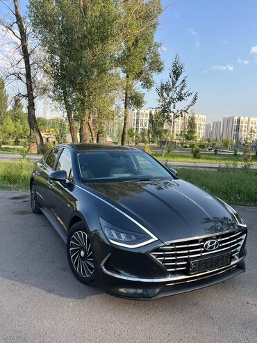 армения номер: Hyundai Sonata: 2019 г., 2 л, Автомат, Гибрид, Седан