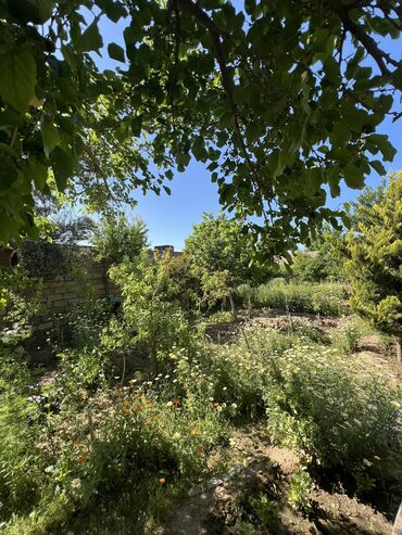 Bağ evlərinin satışı: Digah, 340 kv. m, 4 otaqlı, Artezian quyusu, Kanalizasiya, Kombi — 34