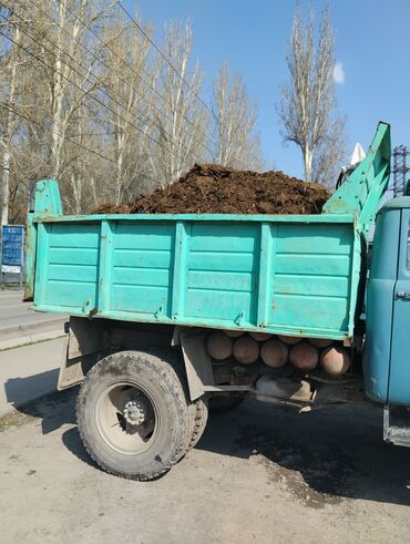 калифорния соолжан: Продаю силос по 7сом зодин кг по Алматинской внизу этого года тел