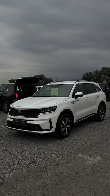 crv 2: Kia Sorento: 2021 г., 2.2 л, Автомат, Дизель, Кроссовер — 7