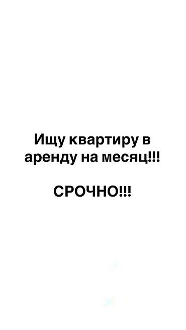 квартиру месяц: Ищу квартиру в аренду на месяц. Срочно! Нужна полноценная отдельная — 1