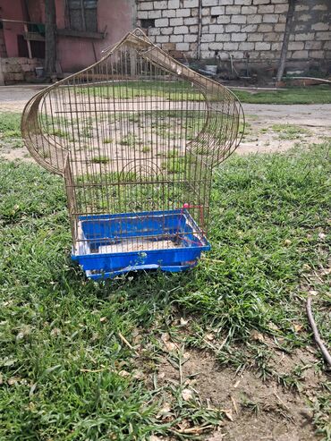 Yuvalar: Qefesderin her biri satilir — 6