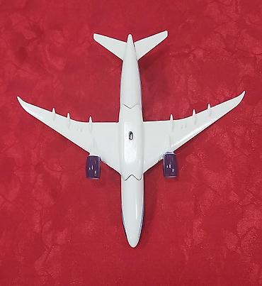 İncəsənət və kolleksiyalar: Təyyarə modeli AZAL Azərbaycan, təzədir. Materialı metal, çox — 8