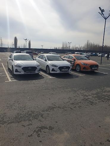 Hyundai: Hyundai Sonata: 2019 г., 2 л, Автомат, Газ, Седан — 10