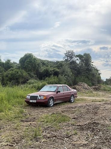 mersedes e class: Mercedes-Benz W124: 1989 г., 2.3 л, Механика, Бензин, Седан — 7