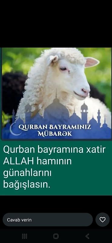 ev işi axtarıram: Xadimə tələb olunur, 46 yaşdan yuxarı, 6 ildən artıq təcrübə — 1