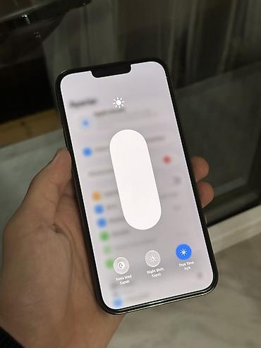 iphone 64: IPhone 13 Pro Max, 256 GB, Alpine Green, Face ID — 10