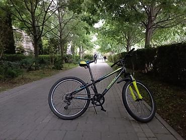 Velosipedlər: 24 lüy velosupet sürət sayı 7 tək skorusdu 250₼ almışam 150₼ satıram — 3