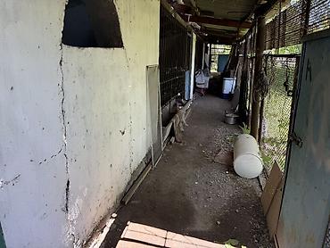 Продажа коттеджей и домов: 🏡 Продаётся уютный дом в Кара-Балте! 📍 Адрес: ул. Центральная, 174Б — 12