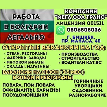 Жумуш - Болгария, 1-2-жылдык тажрыйба, Расмий жумушка орноштуруу