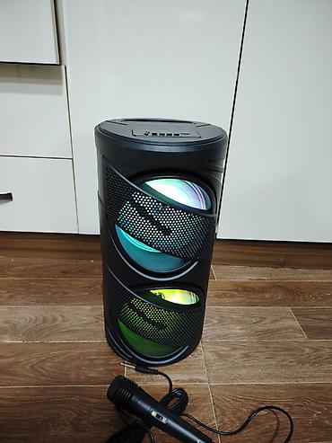 Audio: Portativ Bluetooth akustik sistemi + mikrofon - İki böyük dinamikli — 1