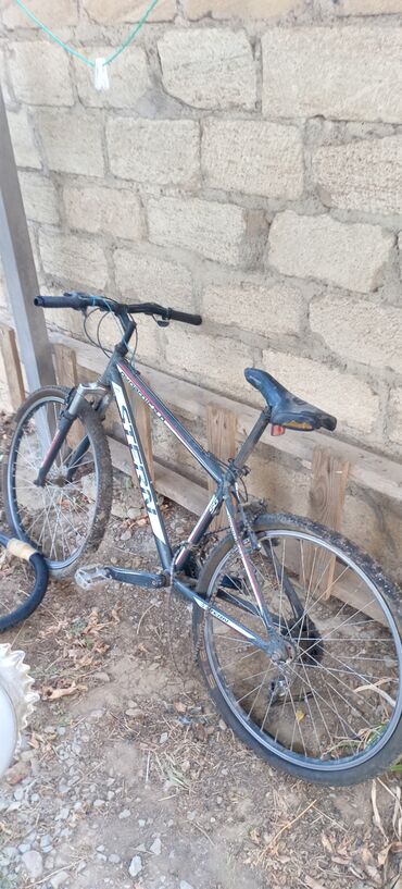 Elektrik velosipedlər: Şəhər velosipedləri