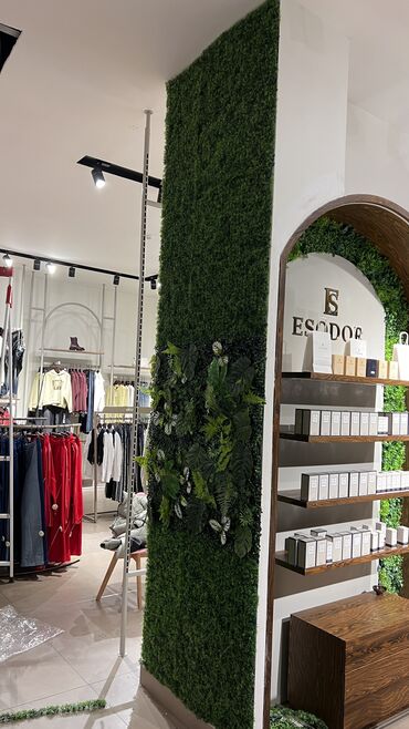 Digər ev dekoru: 6 man baslayan qiymetler — 23