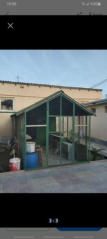 taxta qəfəs: Quşxana satılır.İçərsində dekorativ quşlar və göyərçinlər,və yaxudda — 1