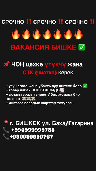 вакансия няня: Техникалык көзөмөл оператору