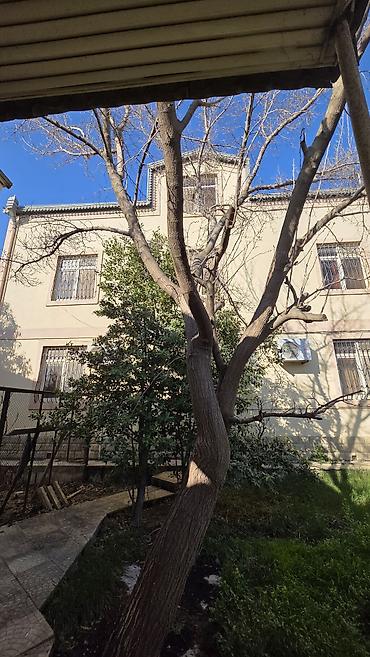 Həyət evləri və villaların satışı: 6 otaqlı, 450 kv. m — 11