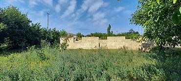 ecemı kıraye evler: 4 sot, Tikinti, Mülkiyyətçi, Kupça (Çıxarış) — 5