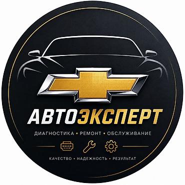 чип тахографа цена: Профессиональная компьютерная диагностика и программирование — 2