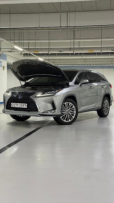 Lexus: Lexus RX: 2020 г., 3.5 л, Автомат, Гибрид, Кроссовер — 6