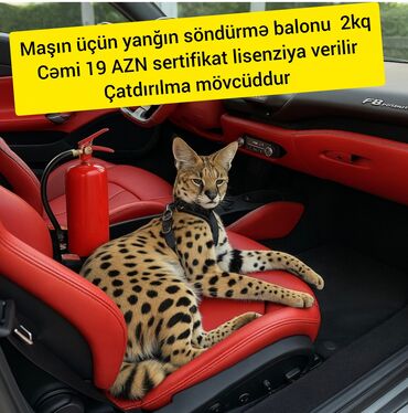 Yanğın söndürən: İstənilən növ yanğın söndürmə balonlarının satışı ve dolumu xidmeti — 1