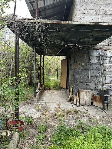 5: 5 соток, Красная книга — 5