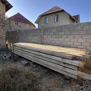 хвойные растения: Ассалоому алейкум кенири жетет бир чон уйдун крышасына полный терек — 2