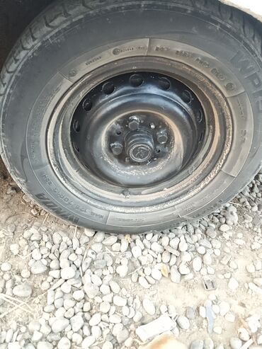 Starterlər: Vaza ayid pütün zapcas var — 13