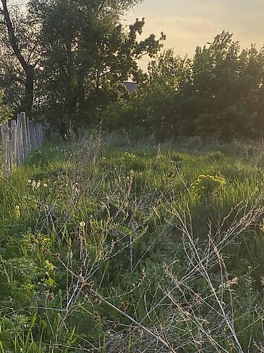 Продажа участков: 15 соток — 12