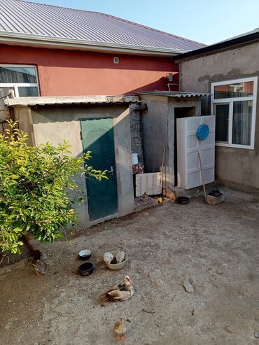 Həyət evləri və villaların satışı: Binə 6 otaqlı, 165 kv. m, Kredit yoxdur, Yeni təmirli — 17