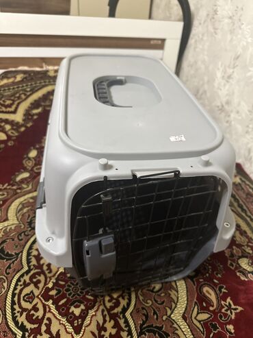 Daşıma çantaları: Pişik çantası