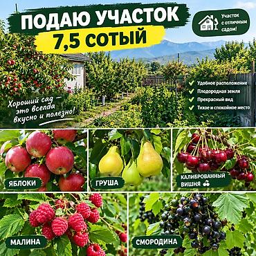 Продажа участков: 750 соток — 1