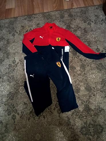 puma ferrari: Мужской спортивный костюм, L, Puma, Б/у, цвет - Красный, Платная доставка — 1