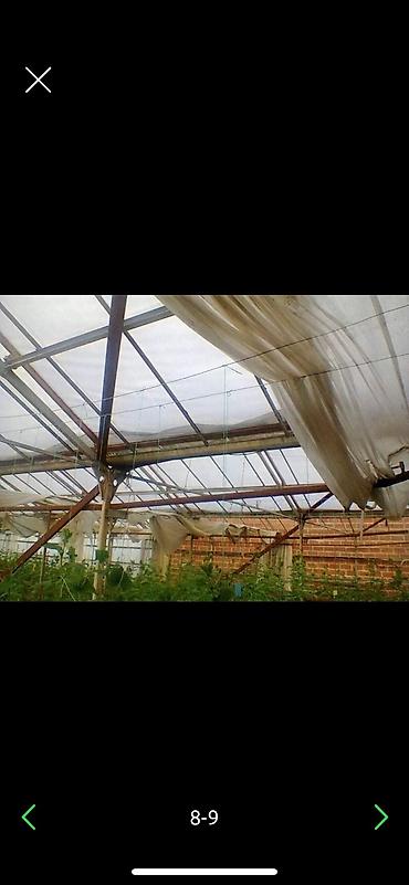 Үй жана бакча: Срочно пр-ю оцинкованные тепличные каркасы на 50 соток российского — 3