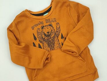 polo bluzka: Sweatshirt, Little kids, 5-6 years, 110-116 cm, condition - Very good