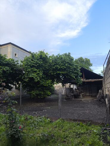 Torpaq sahələrinin satışı: 6 sot, Mülkiyyətçi, Kupça (Çıxarış) — 7