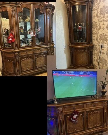 Otaq bitkiləri: Üçlü Set 😍 - Tecili Satılır - Real Alıcılar Tecili Elaqe Saxlasın