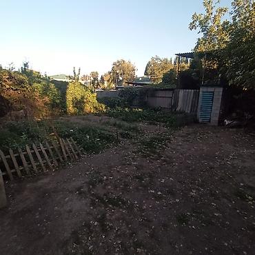 Продажа коттеджей и домов: Продается в городе Каинда Дом с двором и навесом, виноградником и — 23