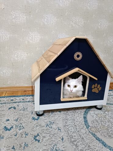 Yuvalar: Ev pişik üçün-70man.her rəngdə.когтеточки 20манат — 17