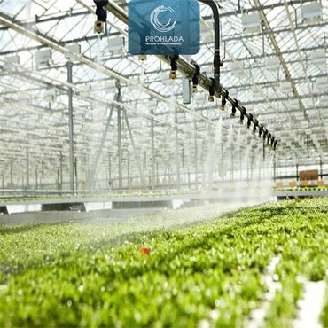 Другие услуги: 🌱 6 причин начать использовать систему тумана для вашей теплицы! 🌫️